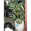 Image 1 : White ceramic planter with artificial bamboo tree