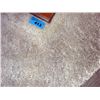 Image 1 : Approx 9F by 11F off white shag area rug