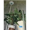 Image 1 : 2 artificial plants and a halogen floor lamp