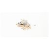 Image 1 : Rhinestone encrusted frog pin