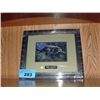 Image 1 : Framed racoon print titled high and dry by artist