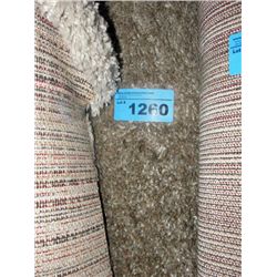 Small beige shag area rug