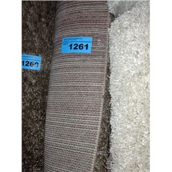 Small beige shag area rug