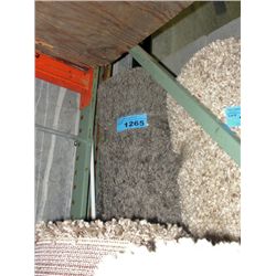 Large beige shag area rug