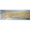 Image 1 : VINTAGE CREAM LONG NYLON LADIES OPERA GLOVES WITH SNAPS AT THE WRISTS.