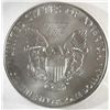 Image 2 : 2013 SILVER AMERICAN EAGLE