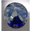 Image 3 : 1971 St. Clair Sprouting Glass Flower Paperweight