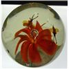 Image 8 : Large Glass paperweight