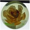 Image 8 : Large Glass Paperweight - Flowers and Bugs