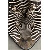 Image 4 : African Zebra Rug