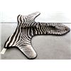 Image 6 : African Zebra Rug