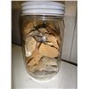 Image 2 : Jar of Virginia Projectile Points