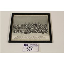 1934-35 CCM BROWN BORDER DETROIT RED WINGS FRAMED TEAM PICTURE