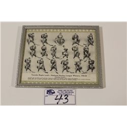 1934-35 CCM GREEN BORDER TORONTO MAPLE LEAFS FRAMED TEAM PICTURE