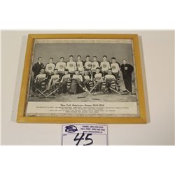 1933-34 CCM BROWN BORDER NEW YORK AMERICANS FRAMED TEAM PICTURE