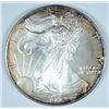 Image 1 : 1996 SILVER AMERICAN EAGLE