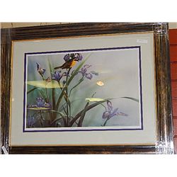 FRAMED LIMITED EDITION PRINT  QUIET - YELLOW THROATED WARBLER - MICHAEL DUMAS