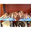 Image 1 : LOT OF ASSORTED BARBIES