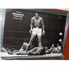 Image 1 : FRAMED PRINT "ALI - LISTON"