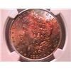 Image 1 : 188O-S MORGAN SILVER DOLLAR NGC MS-64 COLOR COIN