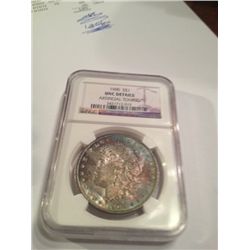 1900 MORGAN DOLLAR MS-65 TONED NGC DETAILS