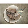 Image 1 : Model A Bucket of Parts - Waterpumps, Pulleys,