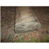 Image 2 : Oval Gas Tank