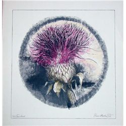 Bruce Martin Scott, Bullthistle, Signed Lithograph