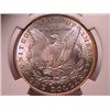 Image 2 : 1887 MORGAN SILVER DOLLAR BU NGC MS-64