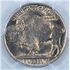 Image 3 : 1938-D BUFFALO NICKEL PCGS MS66