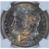 Image 2 : 1904-O MORGAN DOLLAR NGC MS63 TONED