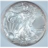 Image 1 : 2007 SILVER AMERICAN EAGLE