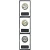 Image 2 : 1921 Alabama--Cleaned--ANACS, Unc Details, Net AU50, sunflower-gold surrounds the devices, decent de