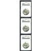 Image 1 : 1938 SET Oregon PDS Set ANACS.