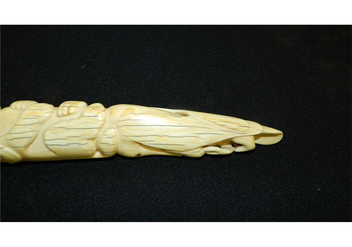 breathtaking Native American Alaskan carved Ivory tusk w/ walruses