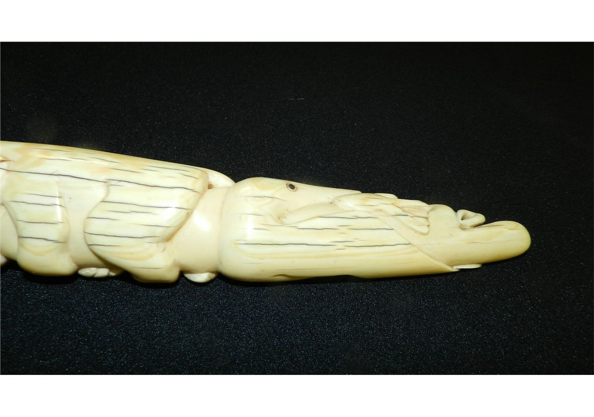 breathtaking Native American Alaskan carved Ivory tusk w/ walruses