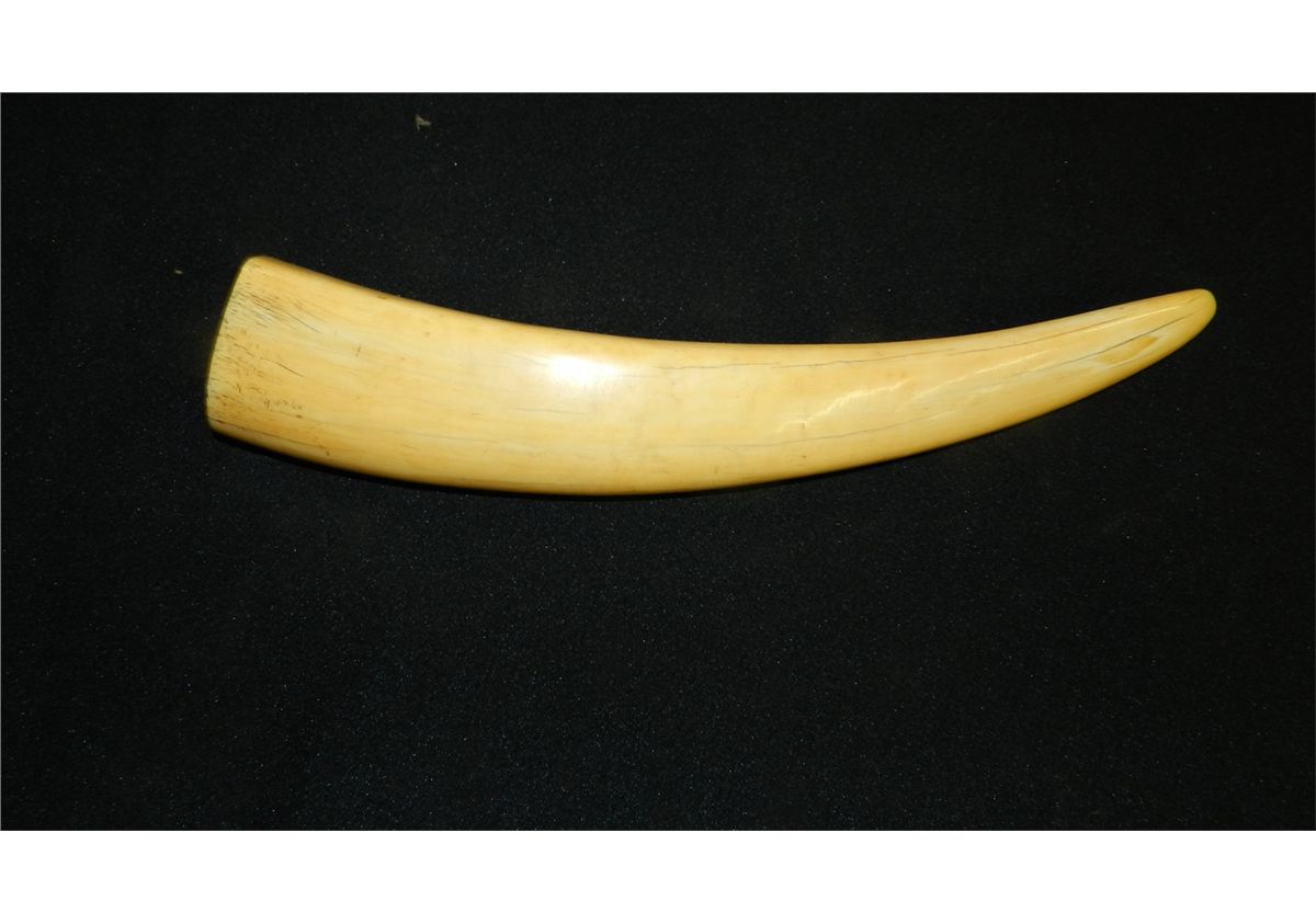 wonderful Native American Indian handmade cribbage board from Ivory