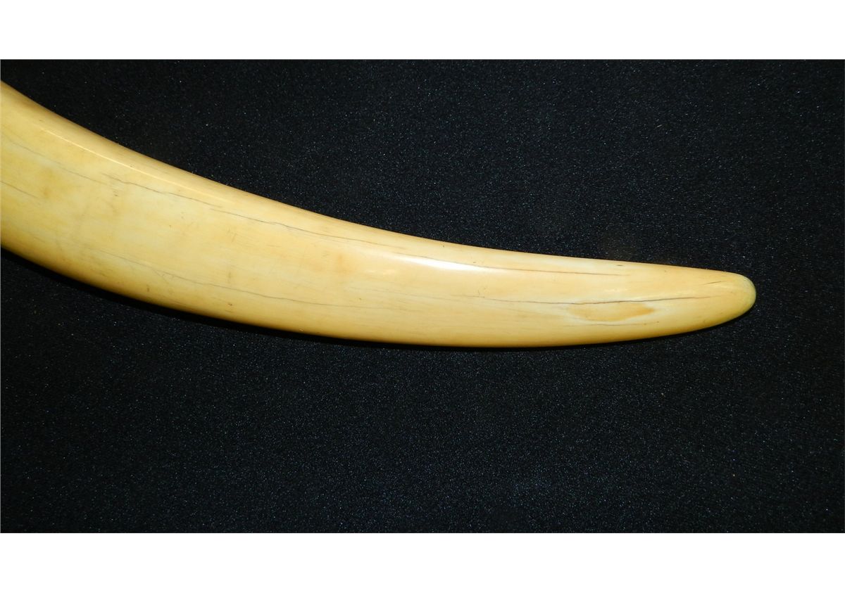 wonderful Native American Indian handmade cribbage board from Ivory