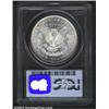 Image 2 : 1891-O S$1 MS64 PCGS.