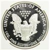 Image 3 : 2013-W PROOF AMERICAN SILVER EAGLE, NGC PF-69 ULTRA CAMEO