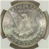 Image 3 : 1884 MORGAN DOLLAR NGC MS64