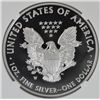 Image 3 : 2013-W PROOF AMERICAN SILVER EAGLE, NGC PF-69 ULTRA CAMEO