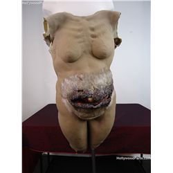 Cabin in the Woods Ma Buckner (Maya Massar) Hero Prosthetic Belly with Coals