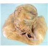 Image 8 : Cabin In The Woods Deformed Mutant Lumpy Face Resin Bust Mask with Glass Eye
