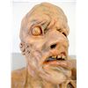 Image 9 : Cabin In The Woods Deformed Mutant Lumpy Face Resin Bust Mask with Glass Eye
