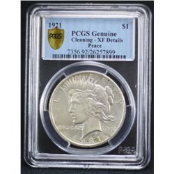 1921 Peace PCGS XF