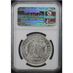 1921 Morgan NGC - MS62
