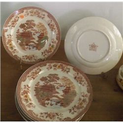Oriental Gardens  8 Dinner plates