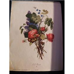 3- Vintage Floral Prints