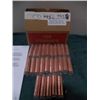 Image 1 : Lincoln Bicentennial "Log Cabin" Pennies